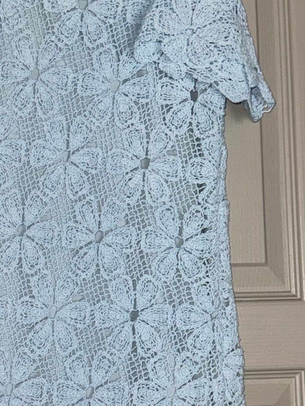 Tuckernuck Baby Blue Crochet Floral Belclaire Shift Short Sleeve Dress Sz Large - Picture 5 of 9